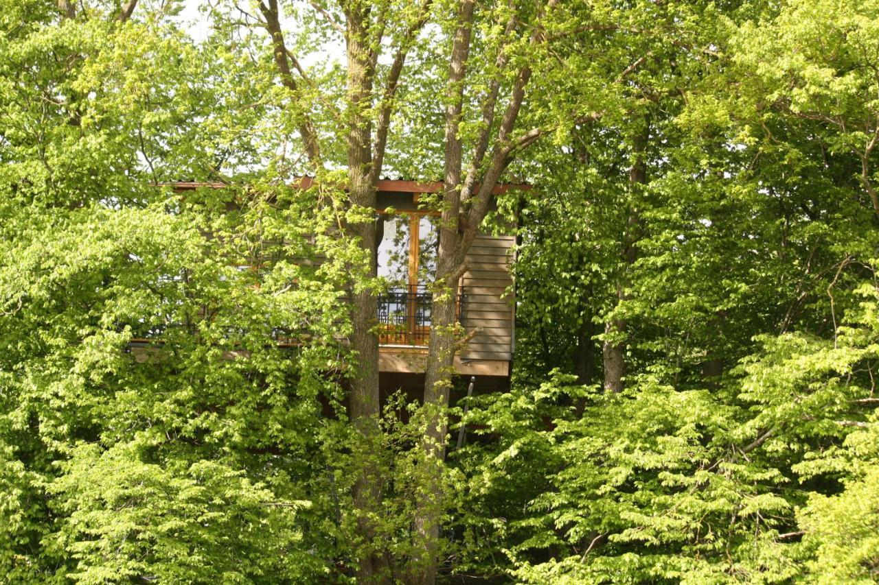 Baumhaus Auf Dem Kellerberg Villa Fischach Exterior photo